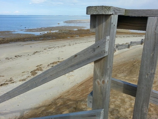Starlight Lodge Cape Cod image 1